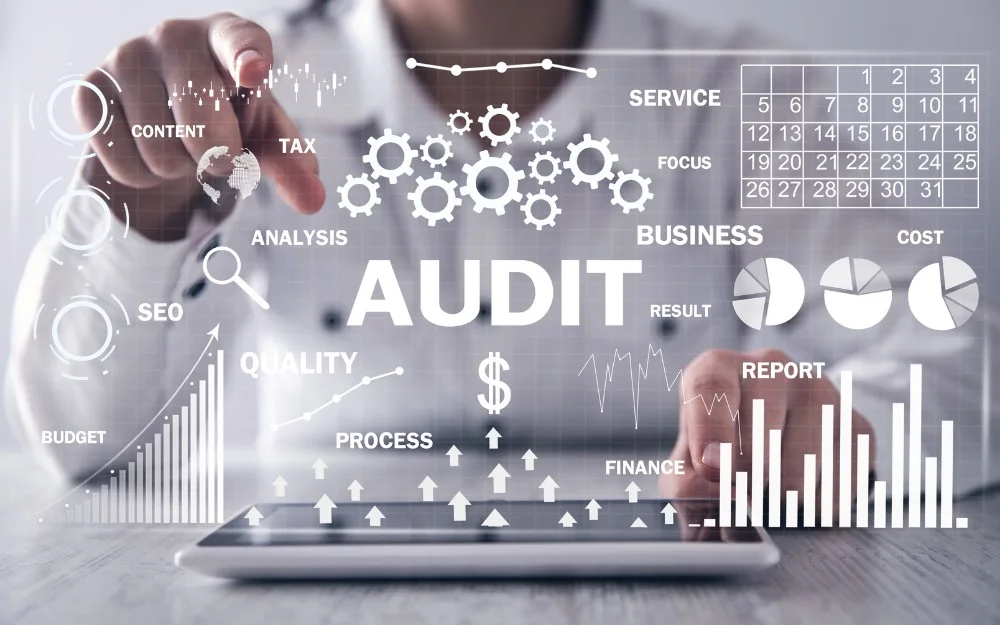 Auditing for Website Visibility